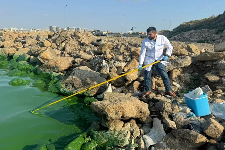 Why Did Lake Boyukshor Turn Green? The RESULTS of the Investigation